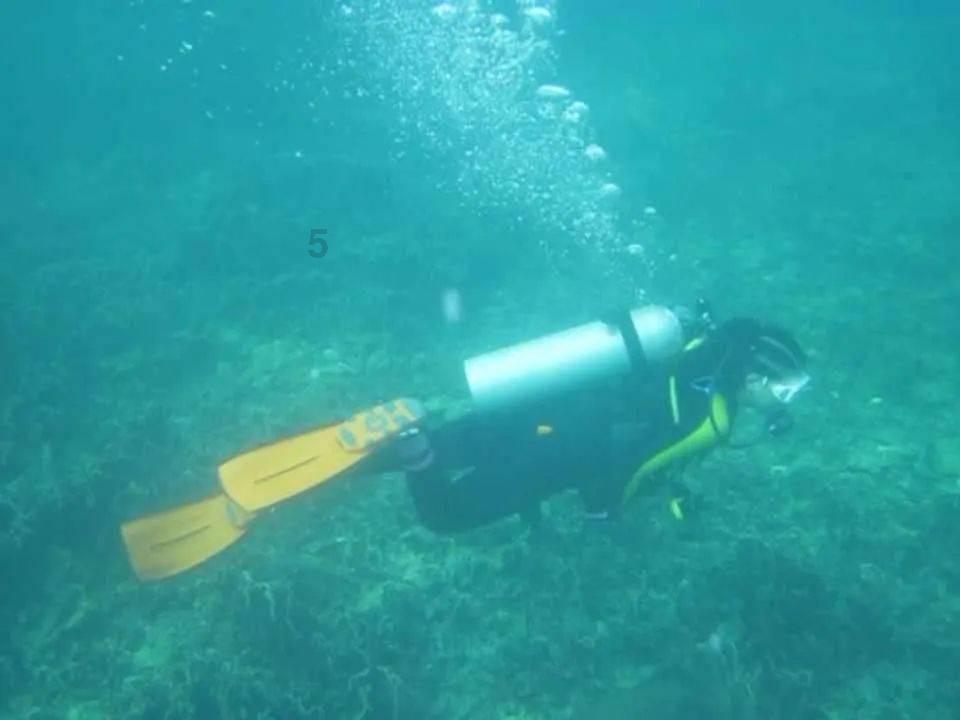 海口优化人才购房政策 支持重点产业发展